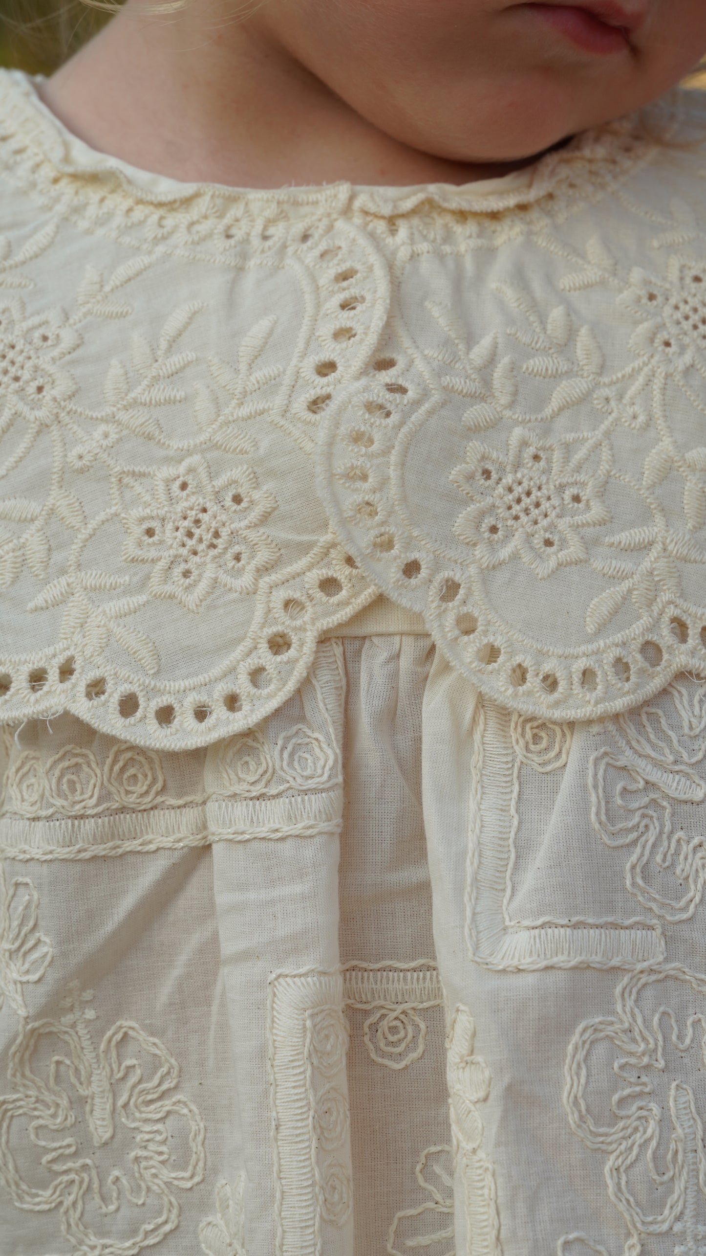 Embroidered Lace Collar Dress