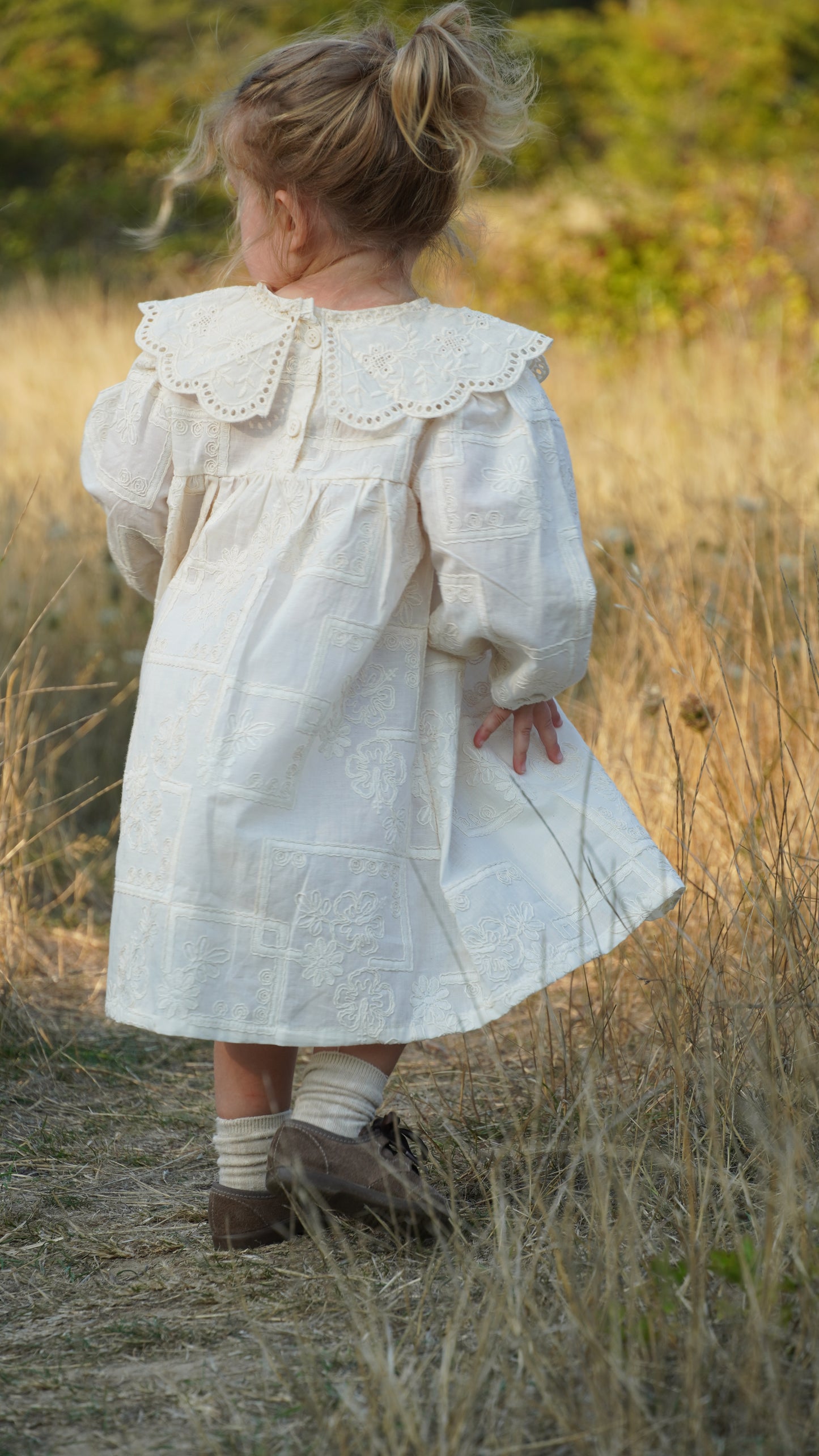 Embroidered Lace Collar Dress