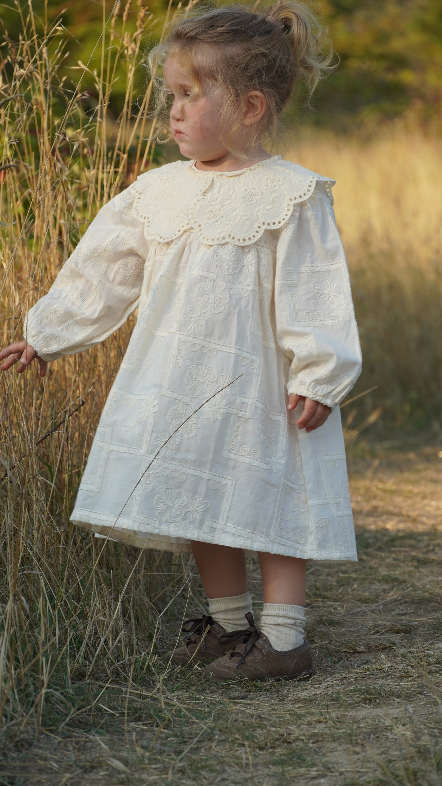Embroidered Lace Collar Dress