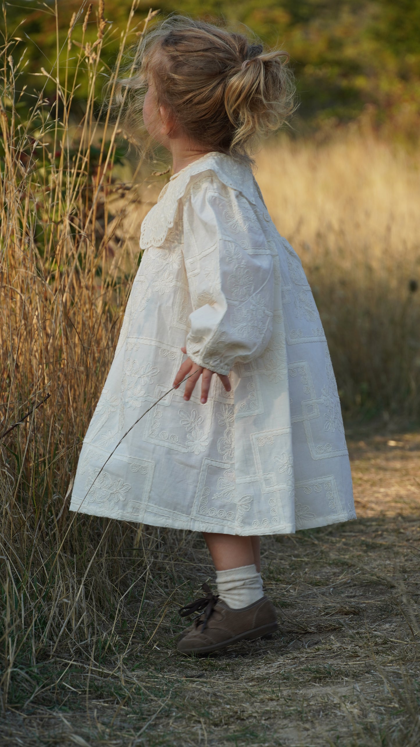 Embroidered Lace Collar Dress