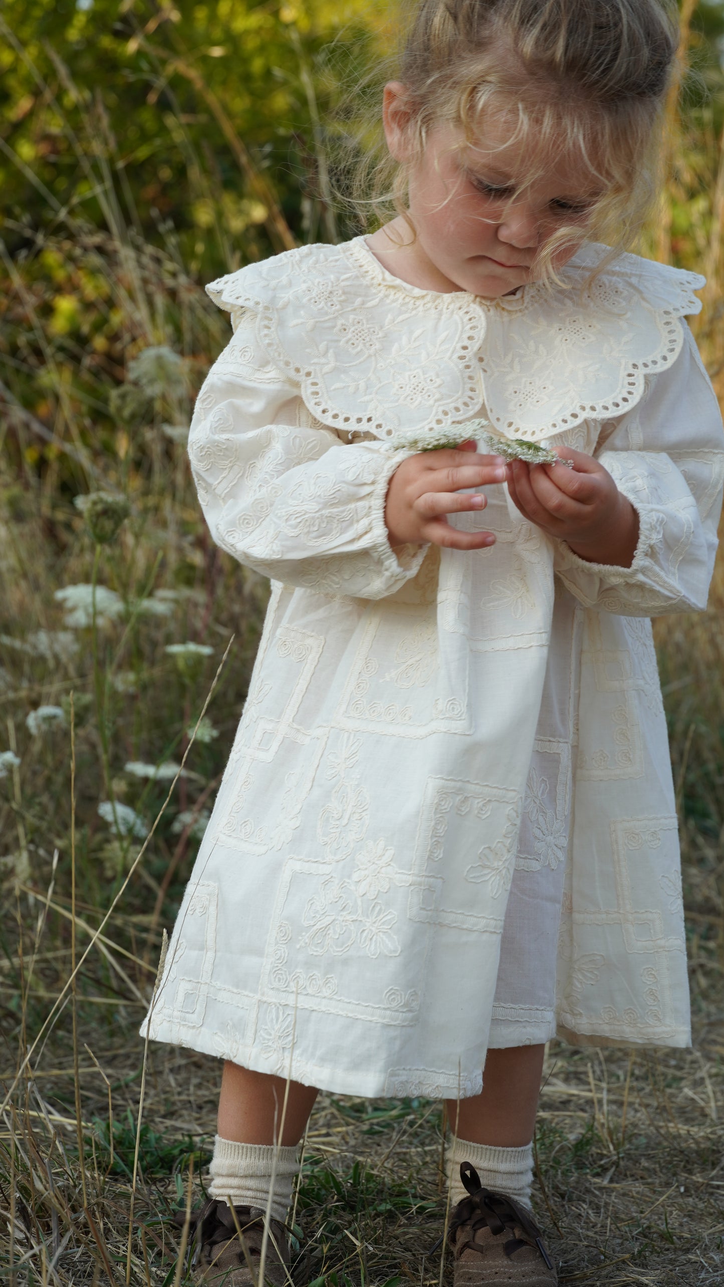 Embroidered Lace Collar Dress