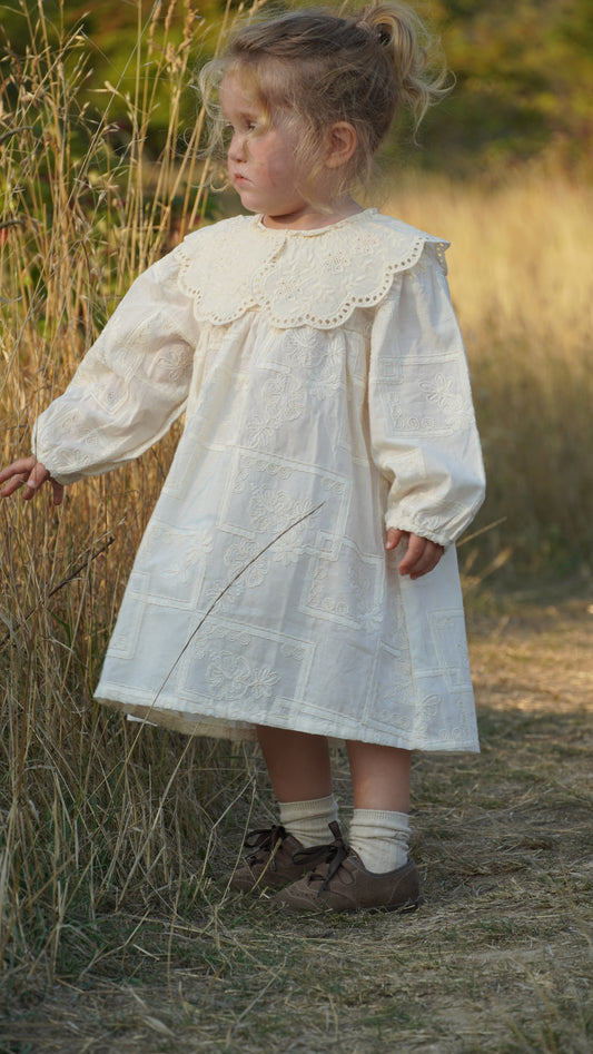 Embroidered Lace Collar Dress